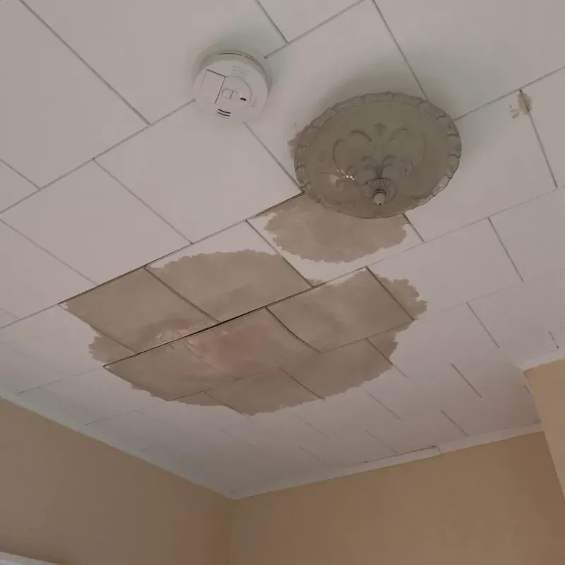 Ceiling Water Damage Repair in El Cerro Mission, NM