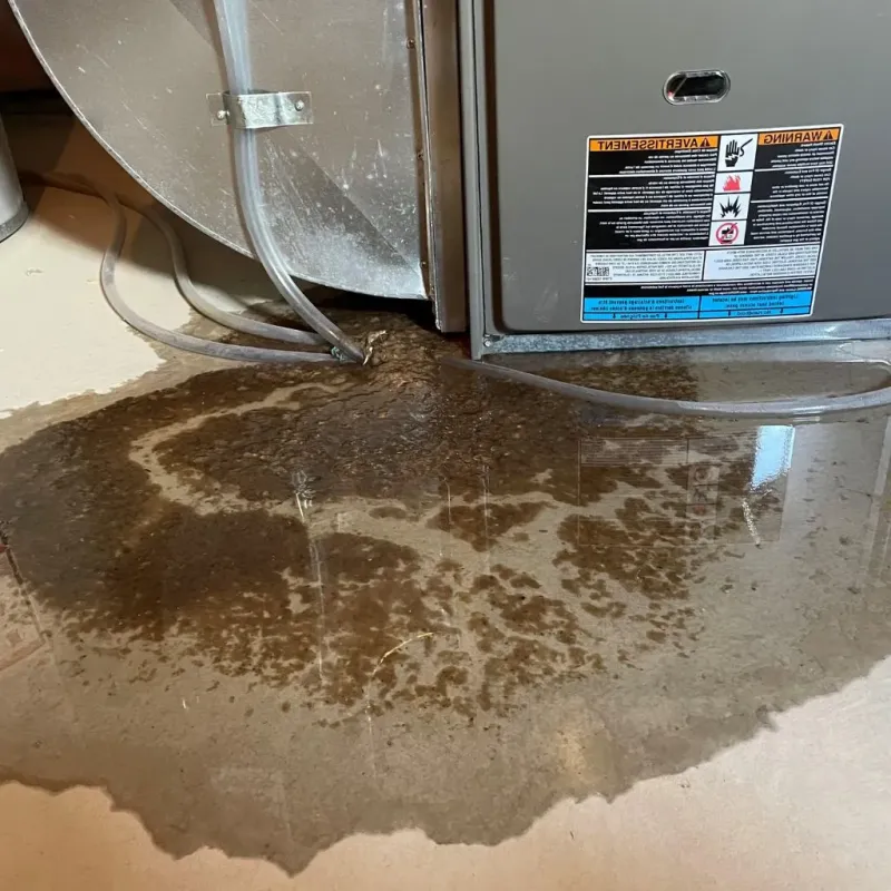 Pipe Burst and Leak Restoration in El Cerro Mission, NM