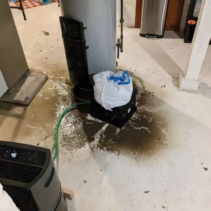 Sewage Backup Cleanup Service in El Cerro Mission, NM